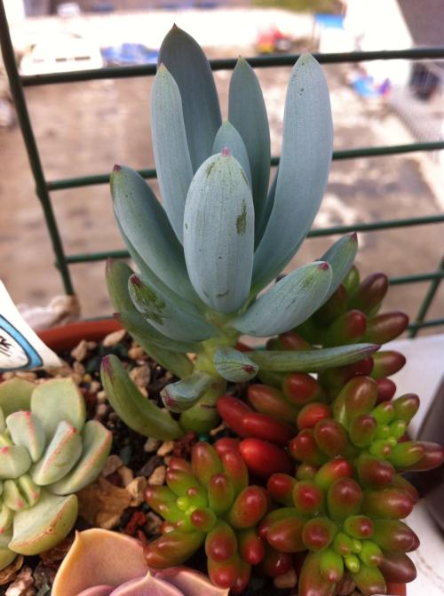 ֱΪʯҵ 㶫Ļᡰ˷硱ת