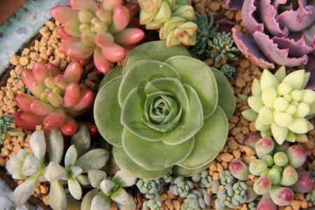 ·չ׶Ρũص ؼ￴ؼ